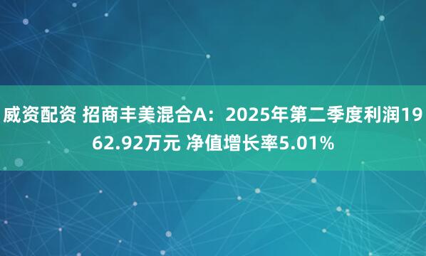 威资配资 招商丰美混合A：2025年第二季度利润1962.92万元 净值增长率5.01%