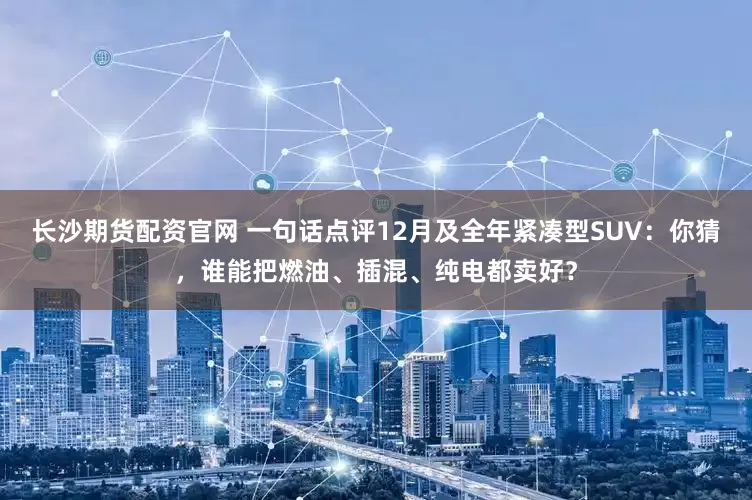 长沙期货配资官网 一句话点评12月及全年紧凑型SUV：你猜，谁能把燃油、插混、纯电都卖好？